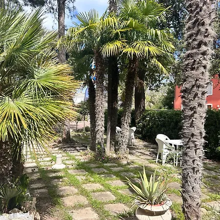 Pina Σενιγκάλια