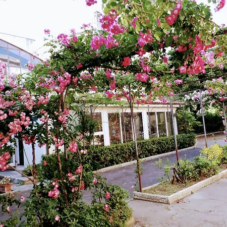 Pina Otel 3*