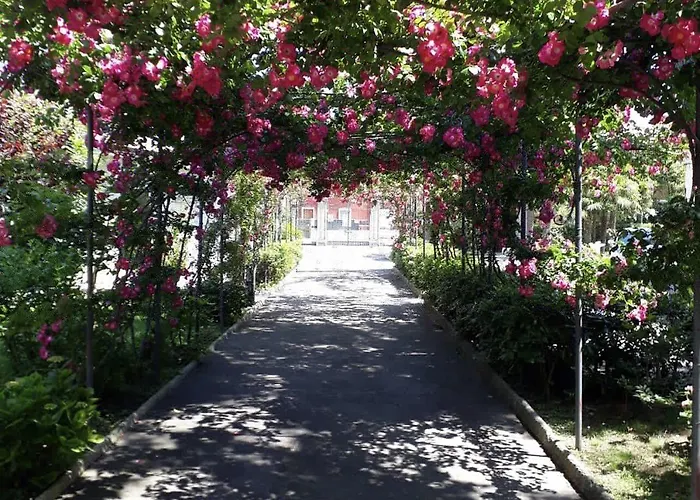 Pina Hotel Senigallia