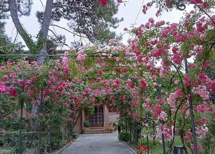 Pina Hotel Senigallia