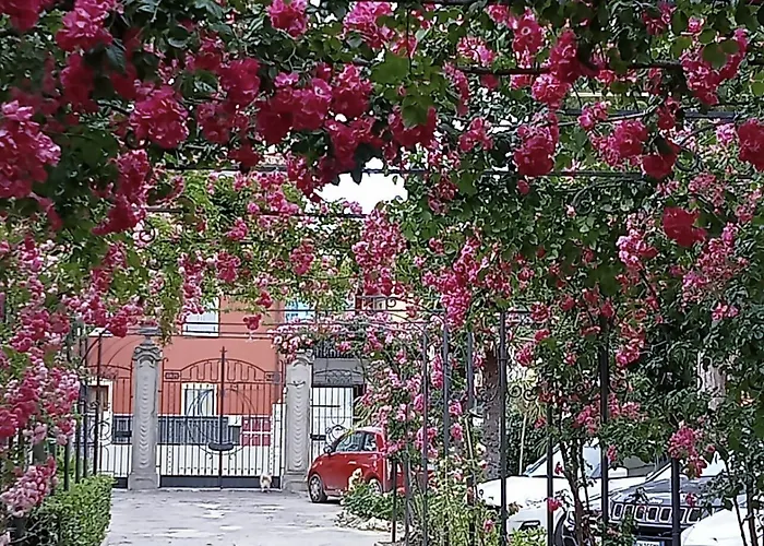 Pina Ξενοδοχείο